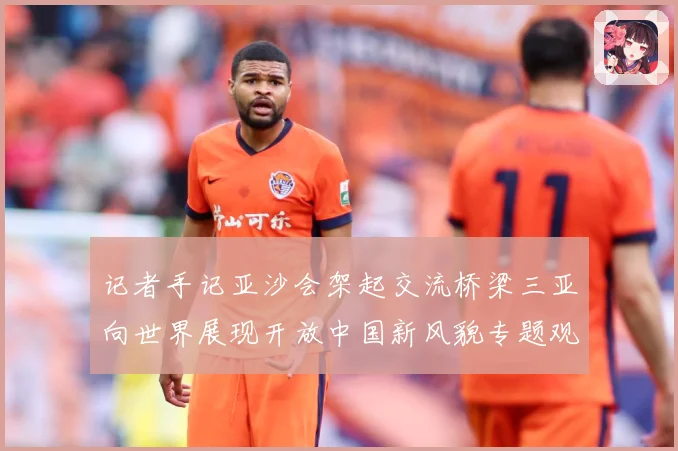 记者手记亚沙会架起交流桥梁三亚向世界展现开放中国新风貌专题观察