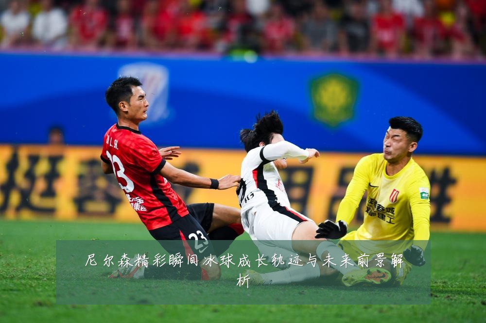 尼尔森精彩瞬间冰球成长轨迹与未来前景解析
