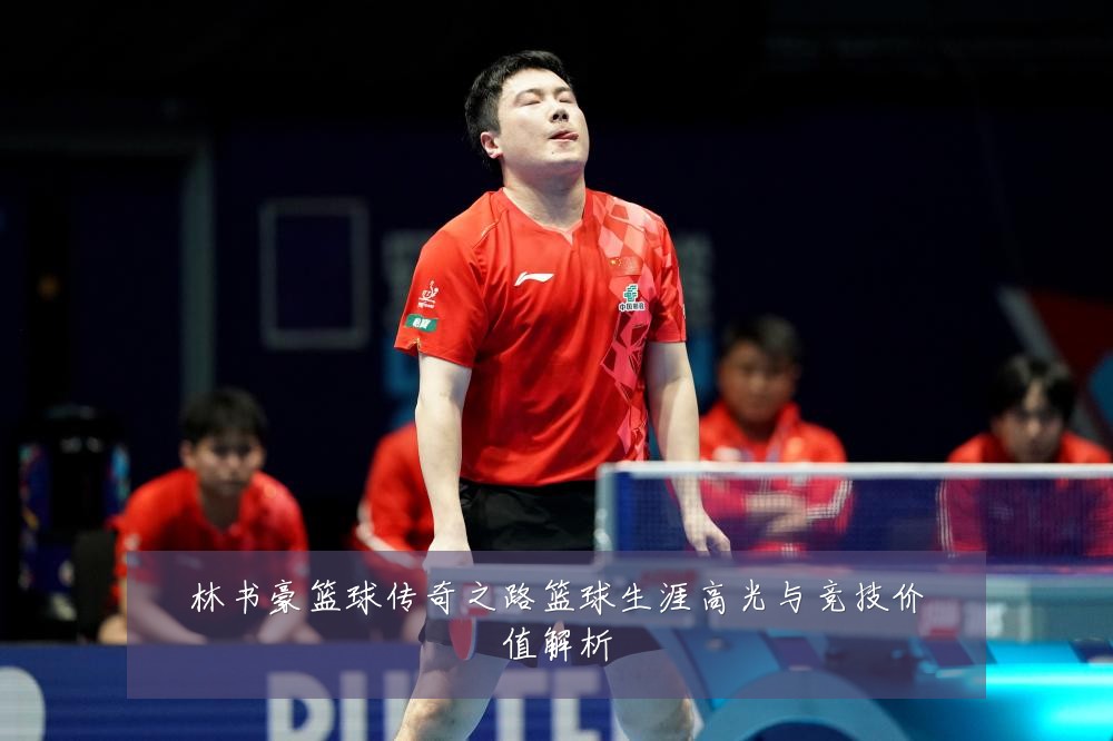 林书豪篮球传奇之路篮球生涯高光与竞技价值解析